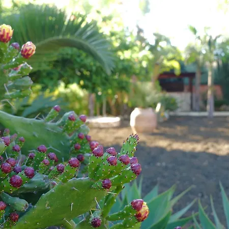 Templi E Arte Bed & Breakfast 3*