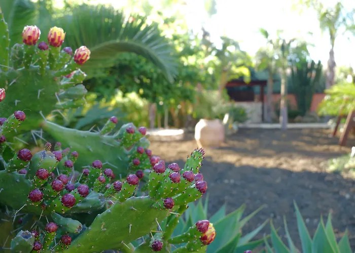 Bed and breakfast Templi E Arte 4*