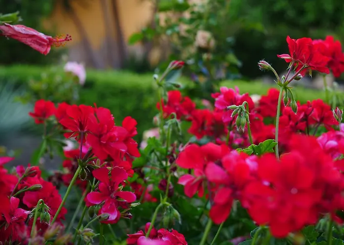 Bed and breakfast Templi E Arte Villaggio Mosè